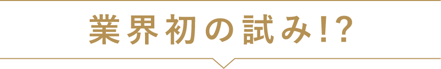 業界初の試み